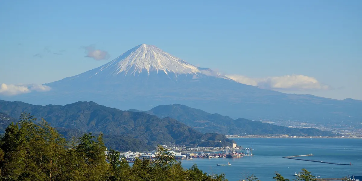静岡県ではM&Aによる事業承継問題の解消が進みつつある？