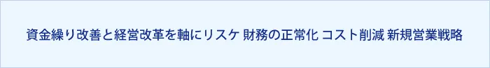 資金繰り改善と経営改革を軸に、リスケジュールの実施、財務の正常化、コスト削減、新規営業戦略を提案し、事業再生を実現。